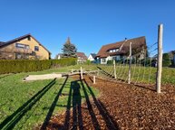 Ein Kletterbaum ist zu sehen.