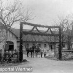 Hof Steinmann