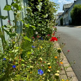 Eine Straße mit Begrünung