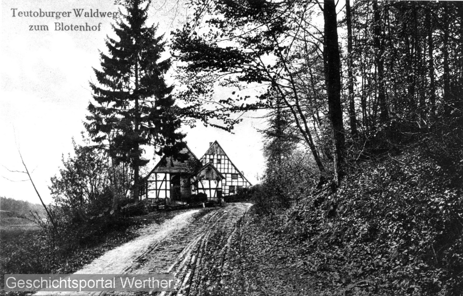 Postkarte Waldheimat Blotenhof